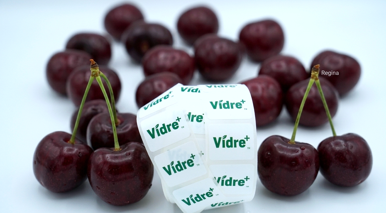 Cherries and Vidre+ stickers